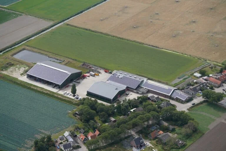 Gladiolus grower — Rooftop solar
