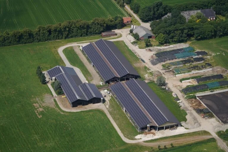 Dairy — photo 1